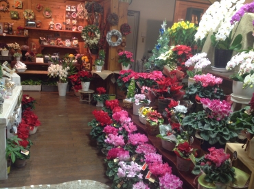 「プランタンさかきや」　（三重県亀山市）の花屋店舗写真3