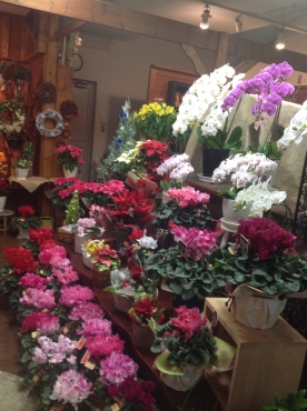 「プランタンさかきや」　（三重県亀山市）の花屋店舗写真4